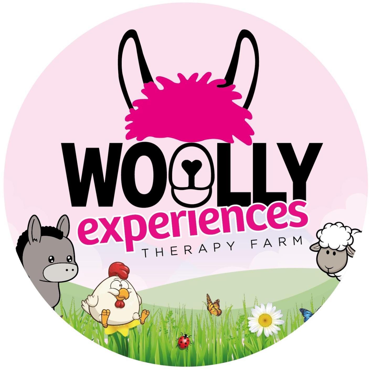 Unique Stay On An Alpaca Therapy Farm With Miniature Donkeys North Wales 몰드 외부 사진